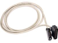 Digium Amphenol Cable