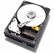 20 GB 3.5" Hard Disk Drive