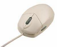 Mouse, Scroll, PS/2, 2-Button, MiniDin6, Qtronix