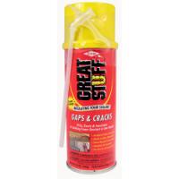 12oz Expanding Foam Can